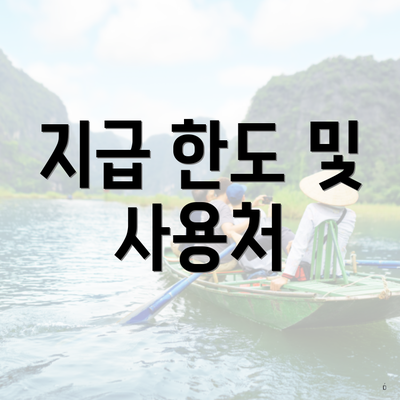 지급 한도 및 사용처