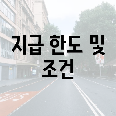 지급 한도 및 조건