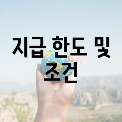 지급 한도 및 조건