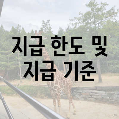 지급 한도 및 지급 기준