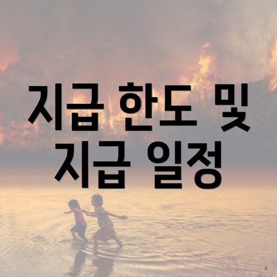 지급 한도 및 지급 일정