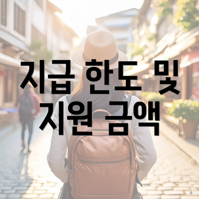 지급 한도 및 지원 금액
