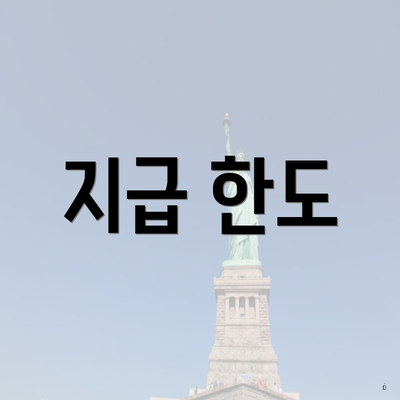 지급 한도