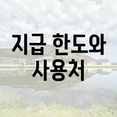 지급 한도와 사용처