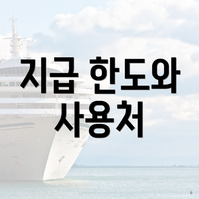 지급 한도와 사용처