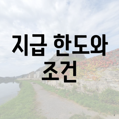 지급 한도와 조건