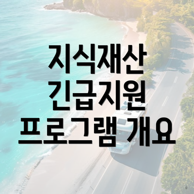 지식재산 긴급지원 프로그램 개요