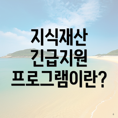 지식재산 긴급지원 프로그램이란?