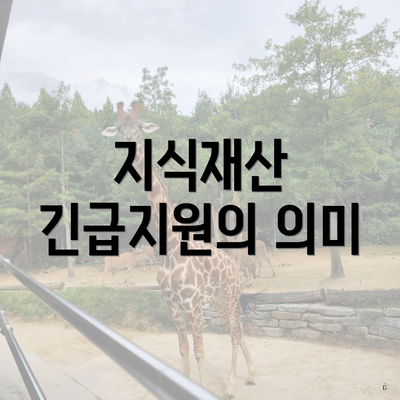 지식재산 긴급지원의 의미