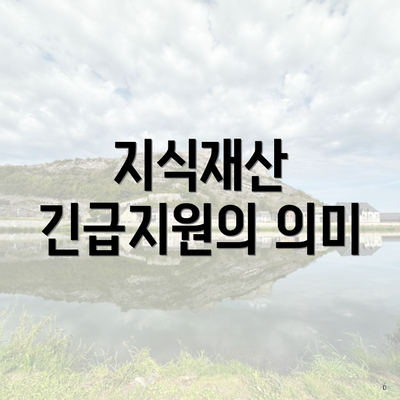 지식재산 긴급지원의 의미