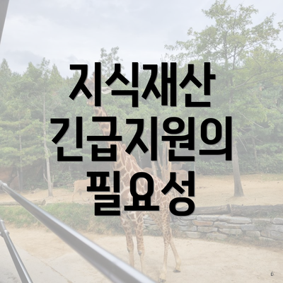 지식재산 긴급지원의 필요성