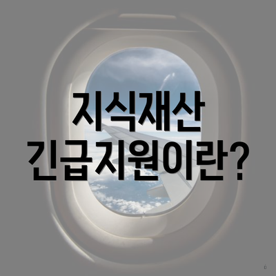 지식재산 긴급지원이란?