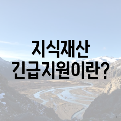 지식재산 긴급지원이란?