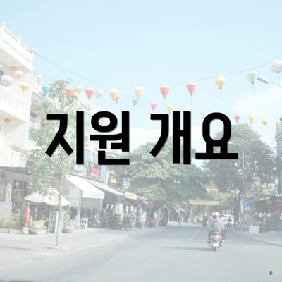 지원 개요