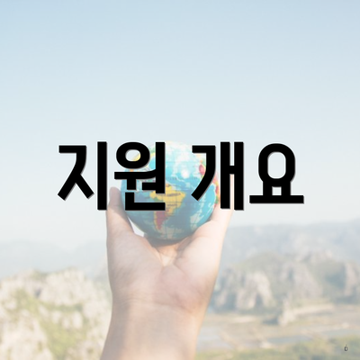 지원 개요