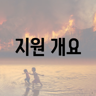 지원 개요