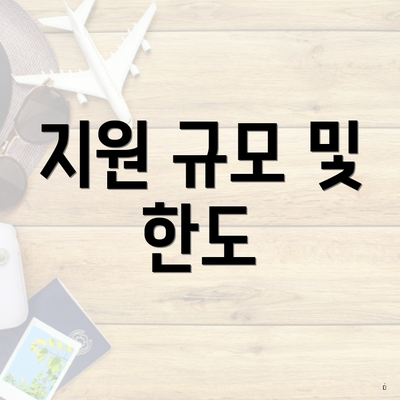 지원 규모 및 한도