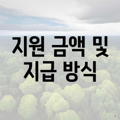 지원 금액 및 지급 방식