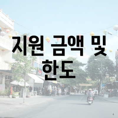 지원 금액 및 한도