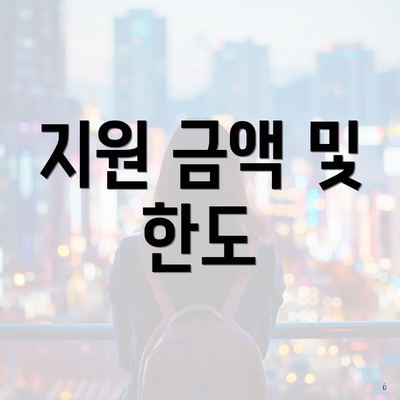 지원 금액 및 한도
