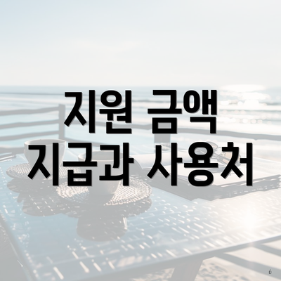 지원 금액 지급과 사용처