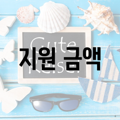 지원 금액
