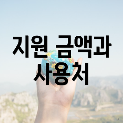 지원 금액과 사용처