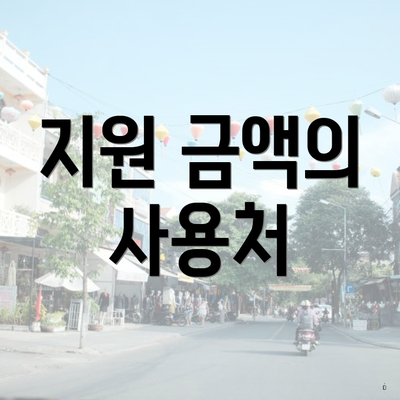 지원 금액의 사용처