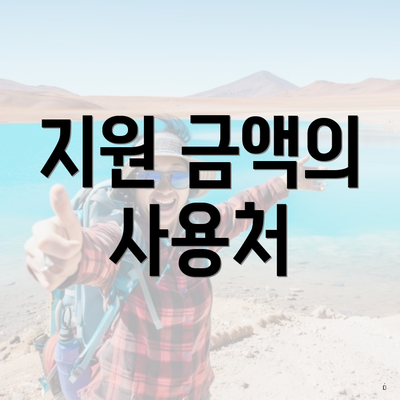 지원 금액의 사용처