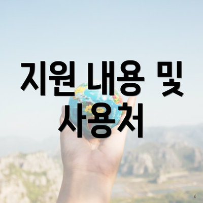 지원 내용 및 사용처