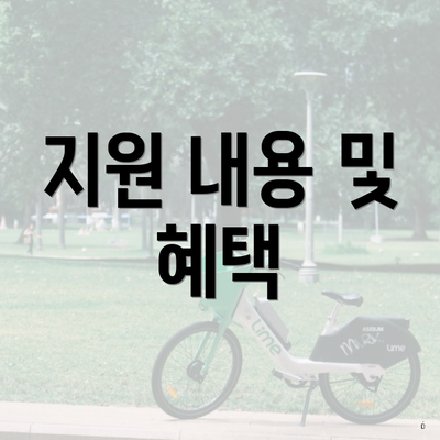 지원 내용 및 혜택