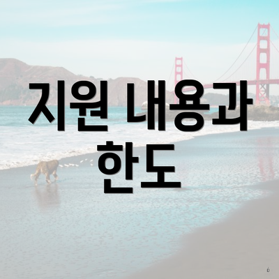 지원 내용과 한도