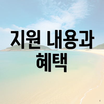 지원 내용과 혜택