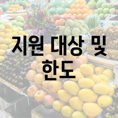지원 대상 및 한도