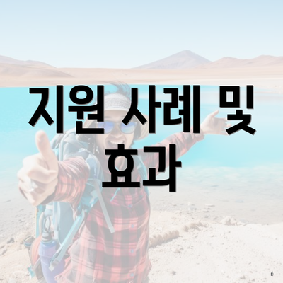 지원 사례 및 효과