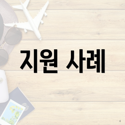 지원 사례
