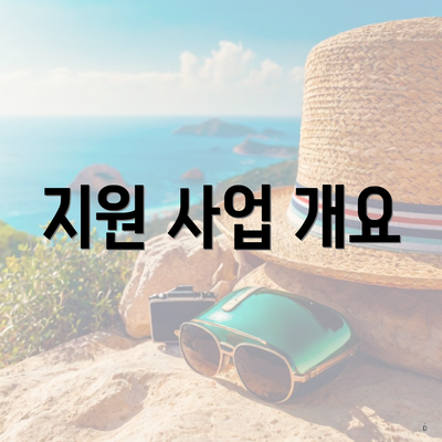 지원 사업 개요