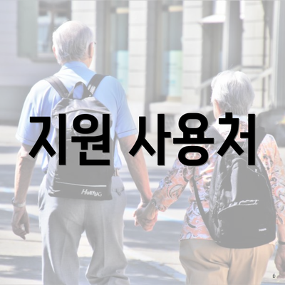 지원 사용처