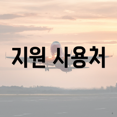 지원 사용처
