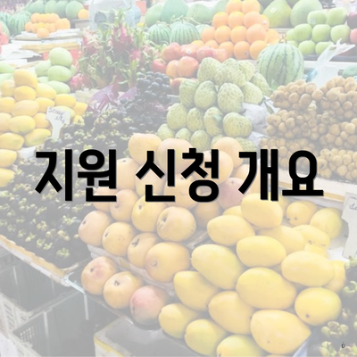 지원 신청 개요