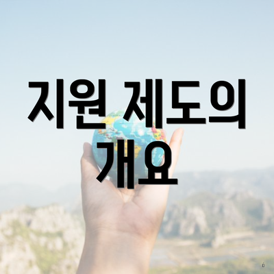 지원 제도의 개요