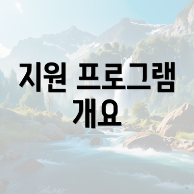 지원 프로그램 개요