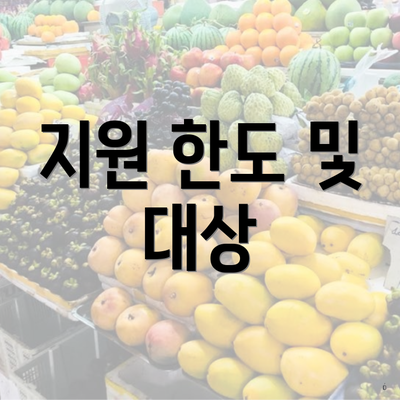 지원 한도 및 대상
