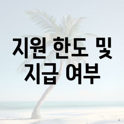 지원 한도 및 지급 여부