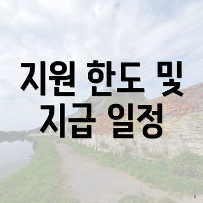 지원 한도 및 지급 일정