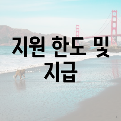 지원 한도 및 지급