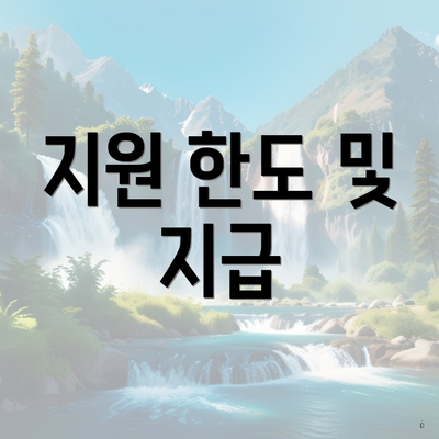 지원 한도 및 지급