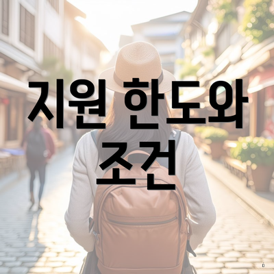 지원 한도와 조건