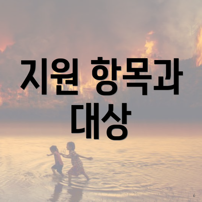 지원 항목과 대상