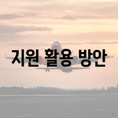 지원 활용 방안